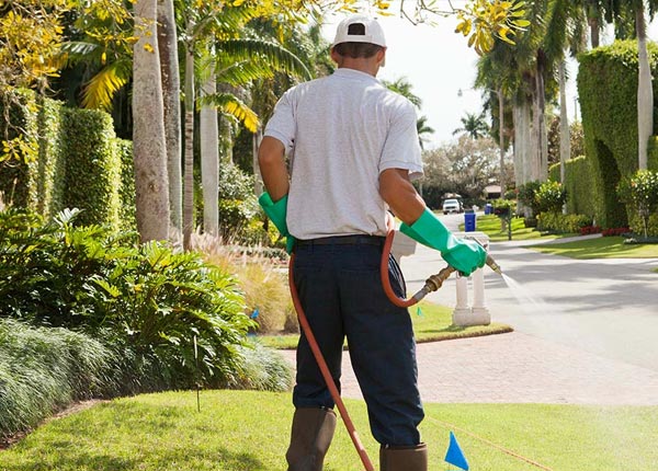 About Wise NC Pest Control